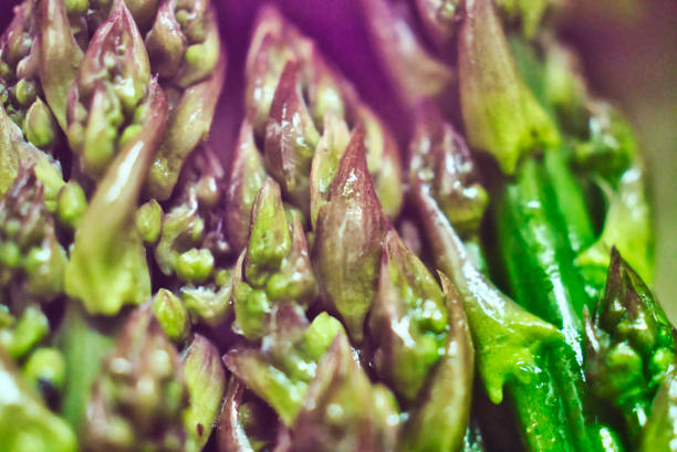 Asparagus Tips Extreme Close Up