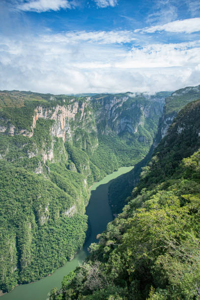 istock Sumidero Canyon Chiapas Mexico 1291468389