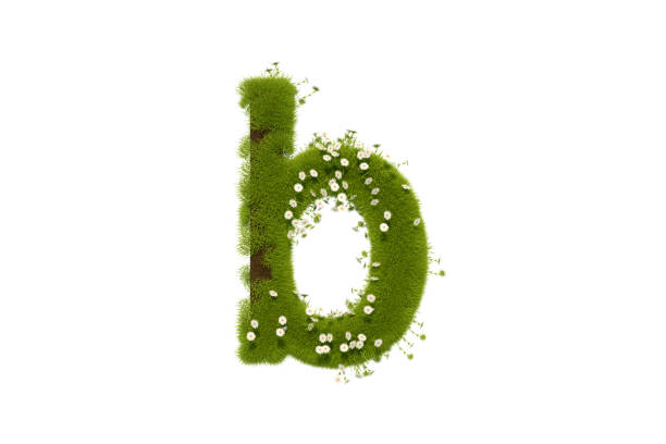 istock Letter B with Grass and Flowers, Lower case 1291471817