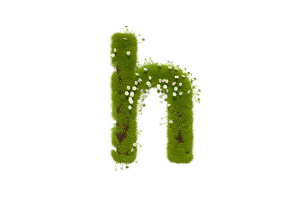 istock Letter H with Grass and Flowers, Lower case 1291472158