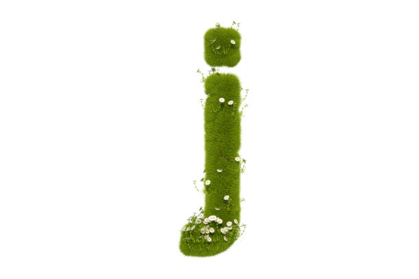 잔디�와 꽃, 소문자 와 문자 j - letter j alphabet three dimensional shape green 뉴스 사진 이미지