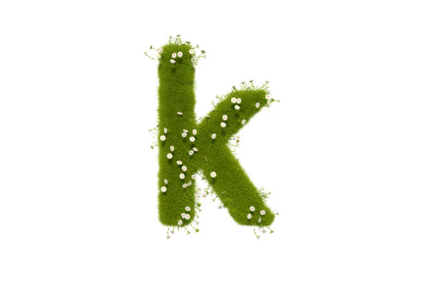 buchstabe k mit gras und blumen, kleinbuchstaben - letter k alphabet three dimensional shape green stock-fotos und bilder