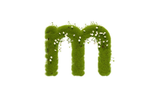 letter m with grass and flowers, lower case - letter m alphabet color image flower imagens e fotografias de stock