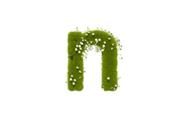 istock Letter N with Grass and Flowers, Lower case 1291472427