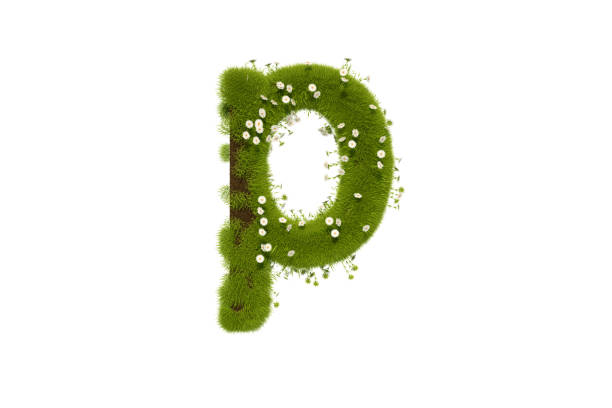 istock Letter P with Grass and Flowers, Lower case 1291472494