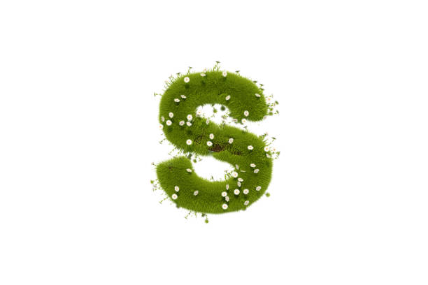 3D Rendering Letter S with Grass and Flowers, Lower case Alphabet