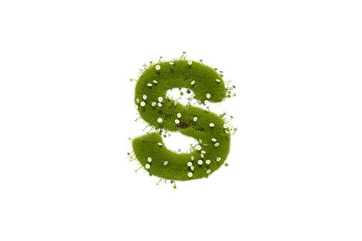 3D Rendering Letter S with Grass and Flowers, Lower case Alphabet