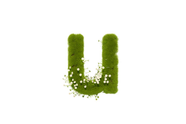 istock Letter U with Grass and Flowers, Lower case 1291472664