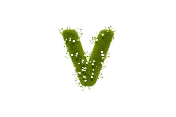 istock Letter V with Grass and Flowers, Lower case 1291472709