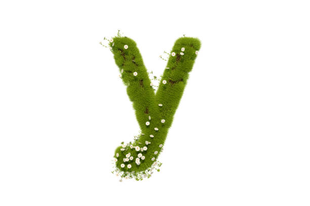 istock Letter Y with Grass and Flowers, Lower case 1291472802