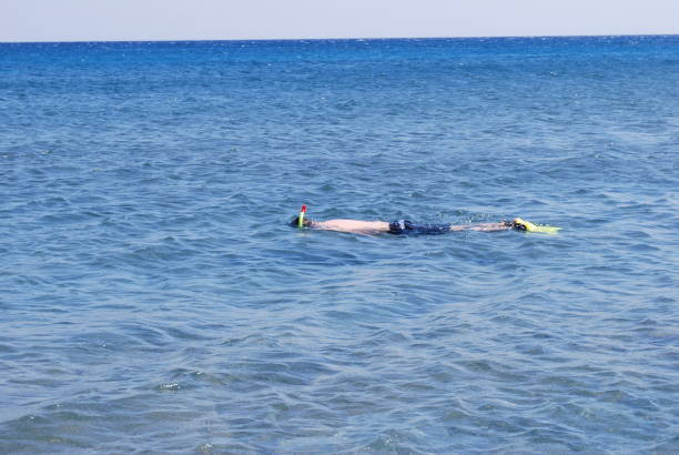 istock Snorkeling in the Mediterranean ocean 1291479614