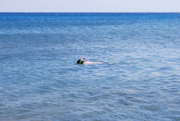 istock Snorkeling in the Mediterranean ocean 1291479616