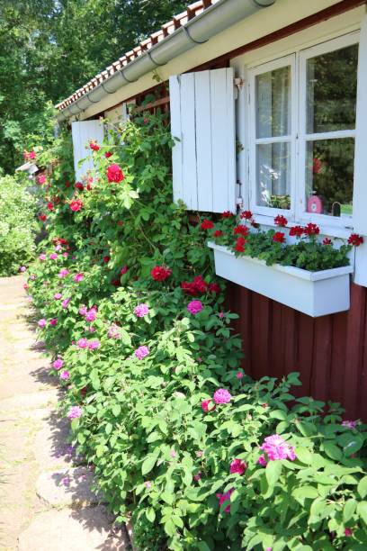 istock Summer house in Sweden 1291479703