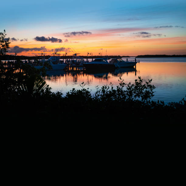 istock Florida Keys sunset scene - Key largo 1291480053