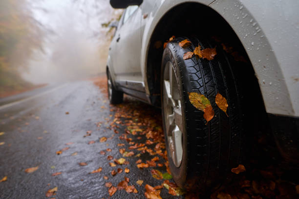 istock Car on a road in the autumn 1291481990