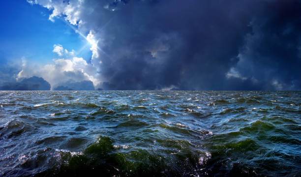 istock windy seascape and tropical storm 1291482240