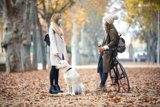 dos hermosos amigos que usan máscara quirúrgica hablando mientras camina con su perro y la bicicleta en el parque en otoño. concepto de distancia social. - golden retriever dog autumn leaf fotografías e imágenes de stock