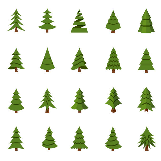 23,588 Cartoon Pine Trees Illustrations & Clip Art - iStock 23,588 Cartoon Pine Trees Illustrations & Clip Art - iStock
