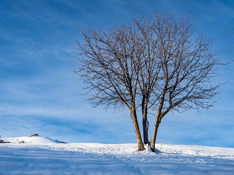 Winter landscape in the Italian alps