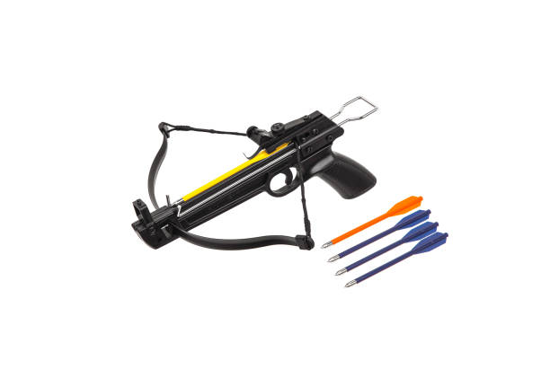 istock Modern crossbow isolate on a white background. Quiet weapon for hunting and sports. 1291495183