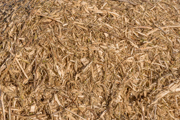 Mulch Texture Pattern 150+ Hardwood Mulch Stock Photos, Pictures & Royalty-Free Images - iStock