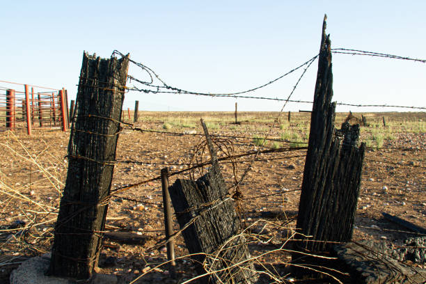 istock Old wood fence with fire damage on a flat prairie 1291500570