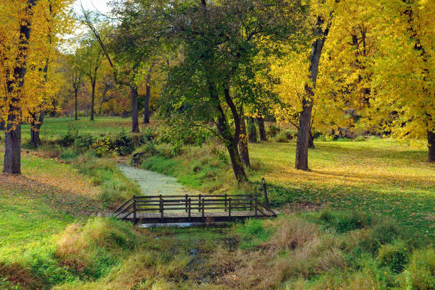 Walking bridge across a small stream-Carroll County Indiana