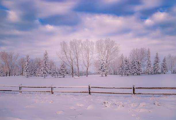 istock Blue Sky Over A Snowy Park 1291505509