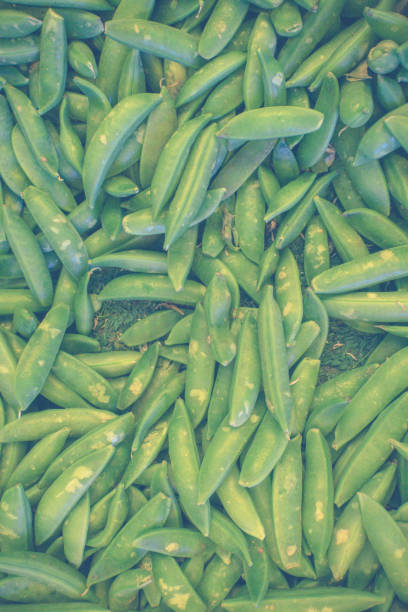 snap peas