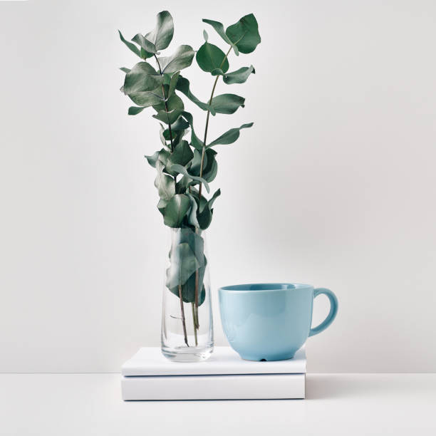 a mug, a stack of books, a wooden board and a transparent vase with eucalyptus branches. eco-friendly materials in interior decor, minimalism. copy space, mock up - 13585 imagens e fotografias de stock