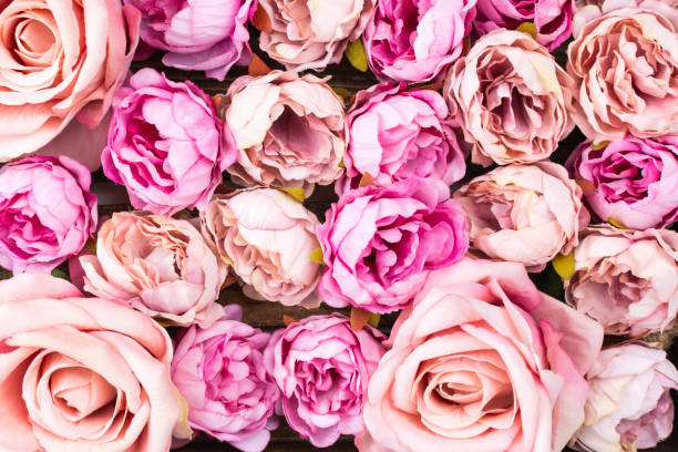 istock Floral background made of artificial pink roses 1291506727