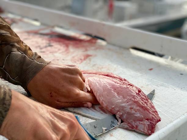istock Fish skin removal by knife 1291507969