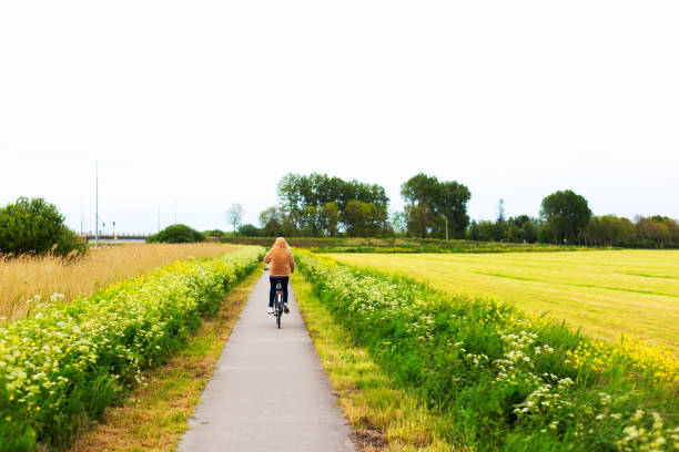 istock Young Woman Cyclist on Flowery Path, Springtime (Netherlands) 1291517316