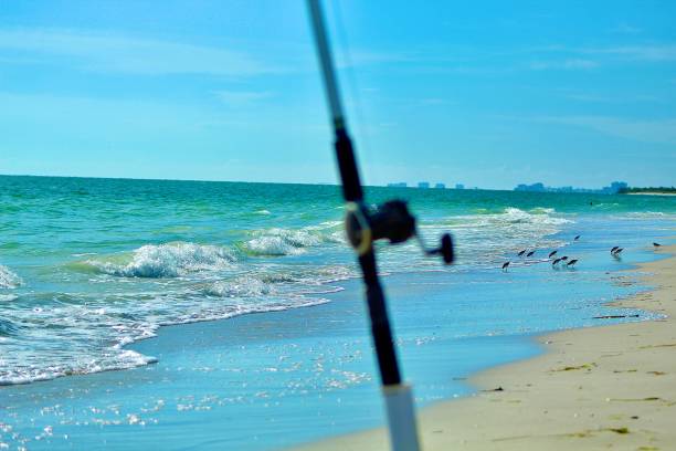 istock Surf Fishing 1291522752