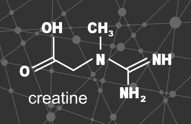 how does creatine work