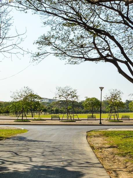 istock road in nature garden 1291526081