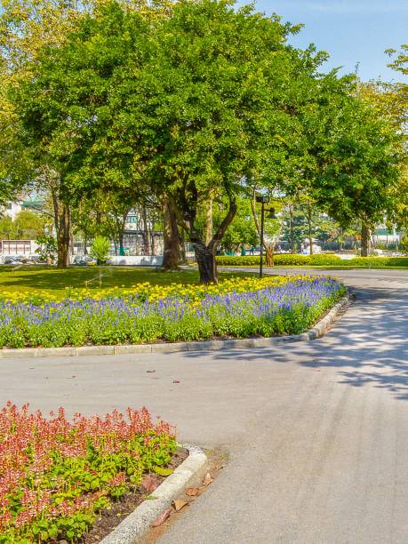 istock road in nature garden 1291526089
