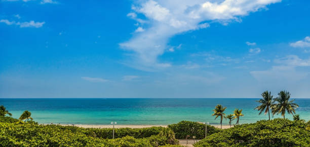 istock Panoramic view of paradise beach in Miami with copy space 1291527650