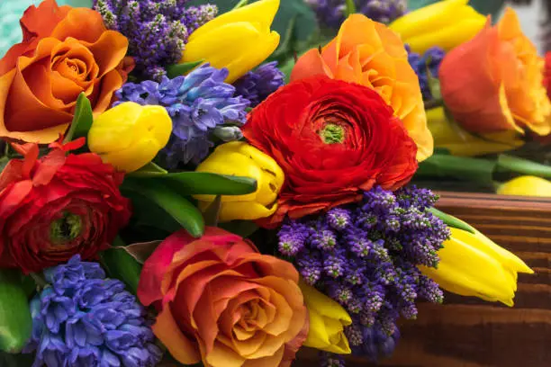 Bright spring bouquet of yellow tulips,blue hyacinths,speedwell,red ranunculus and orange roses lying on the brown wooden table.Present concept for Birthday, mother's Day, 8 March.Selective focus