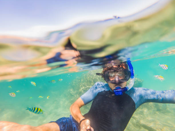 istock young men snorkeling exploring underwater coral reef landscape background in the deep blue ocean with colorful fish and marine life 1291531997