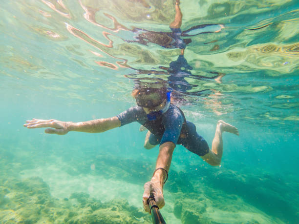 istock young men snorkeling exploring underwater coral reef landscape background in the deep blue ocean with colorful fish and marine life 1291532010
