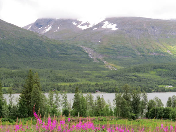 istock Norwegian landscape with snow on the mountain 1291538163