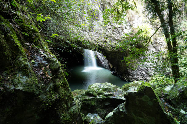 istock The Natural Arch, Springbrook National Park, Queensland 1291538166