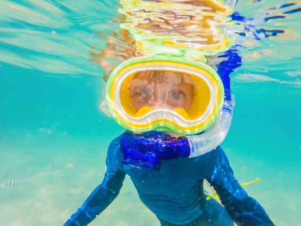 istock Underwater nature study, boy snorkeling in clear blue sea 1291539084