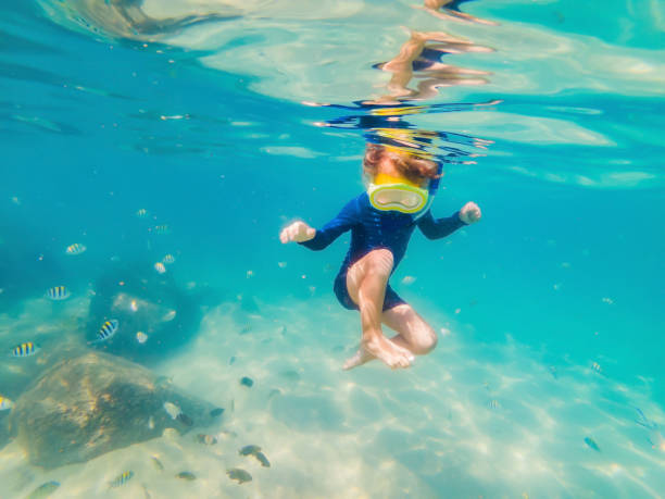 istock Underwater nature study, boy snorkeling in clear blue sea 1291539110