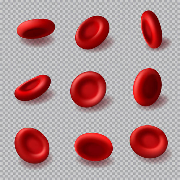 illustrazioni stock, clip art, cartoni animati e icone di tendenza di globuli rossi emoglobina vettoriale 3d, ematologia - blood cell