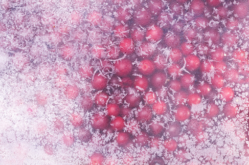 frozen natural red cranberries.