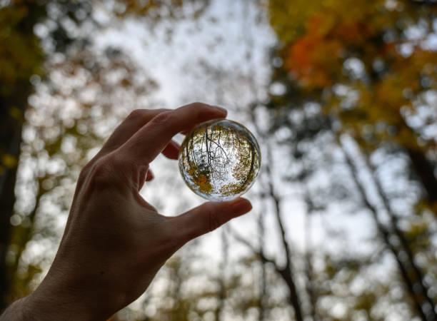 istock Hand held lensball in autumn forest. 1291544381