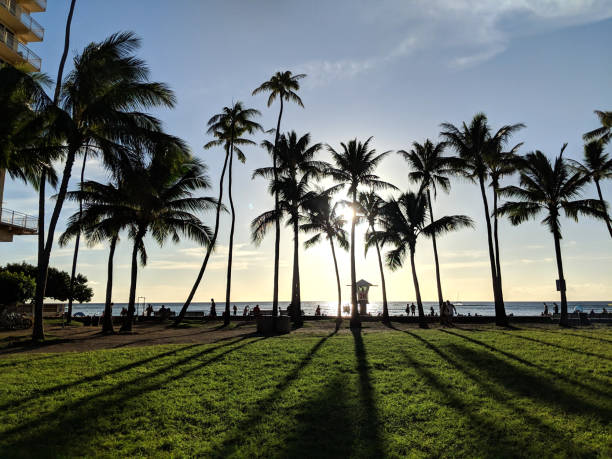 Sunset dropping behind the ocean through Coconut trees on Kaimana Beach by lifeguard tower 2H with people watching on Oahu, Hawaii.