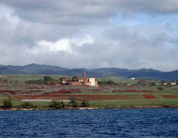 istock Closed Sugar Cane Plantation seen from the ocean 1291545801